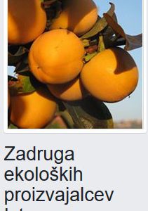 Zadruga ekoloških pridelovalcev Istre Zadruga ekoloških pridelovalcev Istre