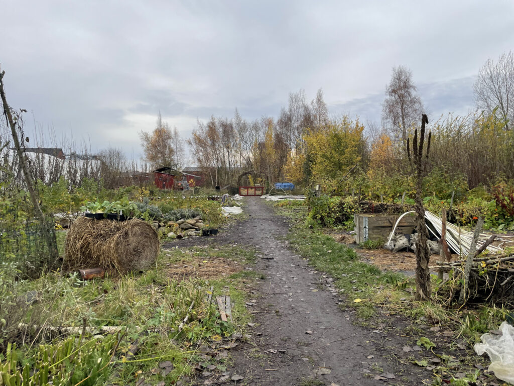 Alnarp's Agroecology Farm