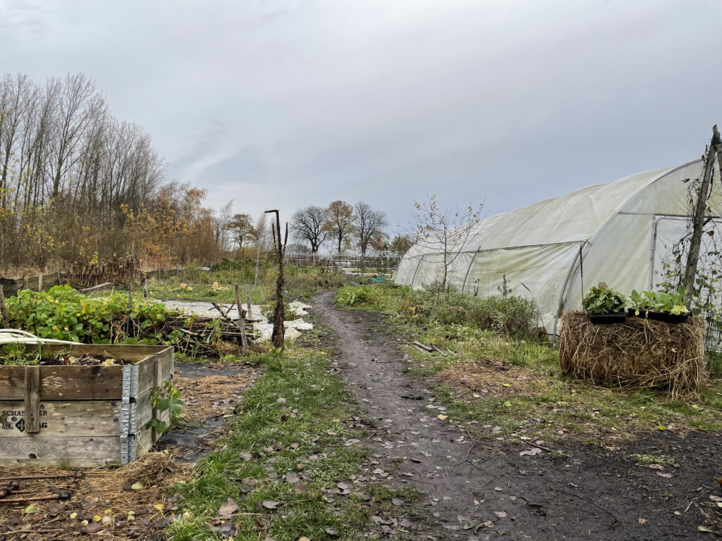 Alnarp's Agroecology Farm