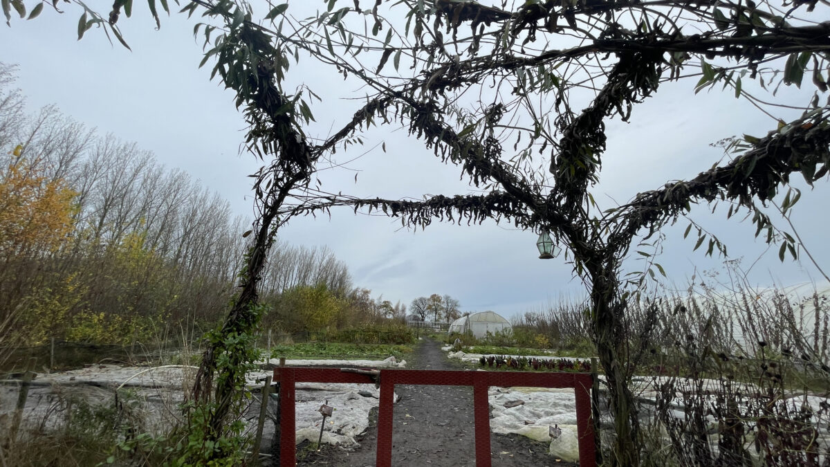 Alnarp's Agroecology Farm