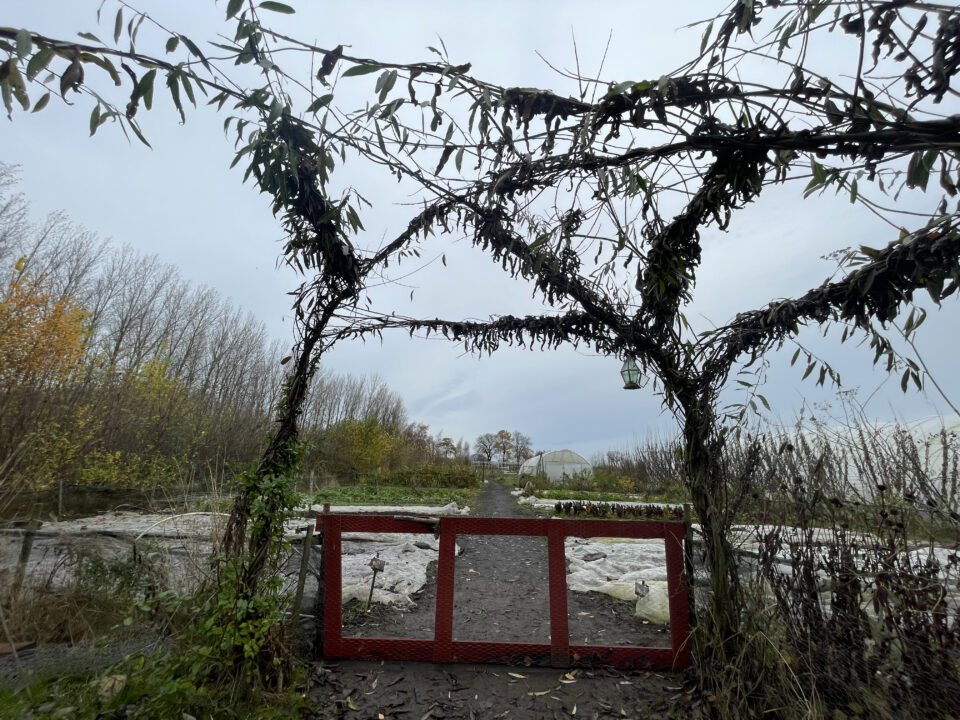 Alnarp's Agroecology Farm